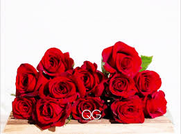 Find gifs with the latest and newest hashtags! Red Rose Bouquet Animated Gif