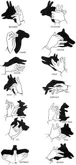 Beyond The Basic Bunny Shadow Puppets Hand Shadows Shadow Puppets Shadow