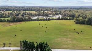 Lee Bradsher Rd, Hurdle Mills, NC 27541