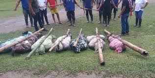 Resultado de imagen para colombia masacre de indigenas