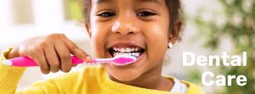 3rd Phaze Body Oils: Essential Oils, Natural Oils, Body Oils and More