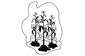 We did not find results for: Corn Stalks Svg Cut File By Creative Fabrica Crafts Creative Fabrica