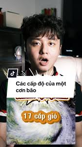 Các cấp độ của một cơn bão tại Việt Nam 💨 #bao #sieubao #baohaiyan  #viethung