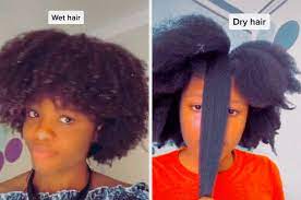 Wet hair has less friction, which is typical of most afro hair types. Natural Hair Wet Vs Dry Transformations On Tiktok