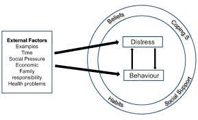 An effective regimen needs to do more than help you drop pounds, it should also promote habits that you. The Relationship Between External Factors Psychological Distress And Download Scientific Diagram
