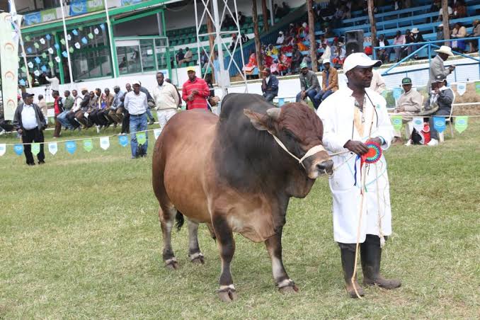 Jamhiuri show-grounds