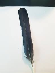 This does not render wicca any less valid, but it does mean that older historical conceptions are not necessarily viable. Baby Wiccan Here I Think I Ve Been Blessed With A Gift For The First Time What Special Meaning Does A Crow Feather Hold Google Is Giving Me Mixed Results Wicca