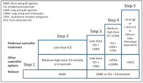 Treatment Steps According To Gina Guidelines On Asthma Ref
