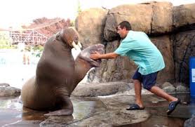 Seu novo alvo é lucy whitmore. Adam Sandler As Henry Roth In Fifty First Dates 2004 Famousfix Com Post