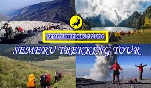 Anda dapat menikmati pemandangan menghijau di sekitarnya serta menghirup udaha segar. Mount Semeru Trekking Tour 3 Days Semeru Trekking Guide