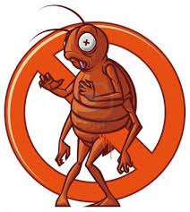 Best natural pest control option: Newnan Pest Control Home Facebook