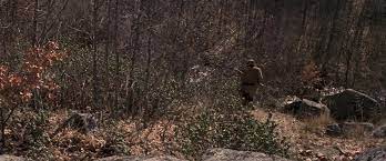 Voice in the wilderness the example of st. Man In The Wilderness 1971 Yify Download Movie Torrent Yts