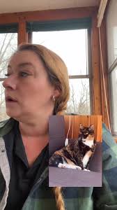 #badcatsoftiktok #fyp