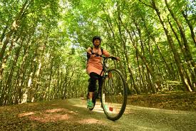 Stadtetrip Weimar Sehenswurdigkeiten Und Ilmtal Radweg
