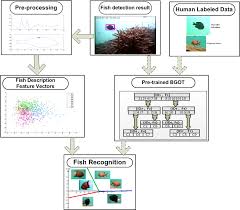 Fish4Knowledge Deliverable D1.3 Fish Recognition and Clustering