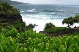Image result for Kuloa