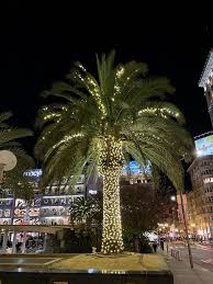 Palm Tree In Christmas Lights Christmas Palm Tree Palm Tree Christmas Lights Christmas Lights