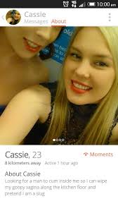 Tinder Bio Ideas For Girls The 25 Funniest Tinder Profiles Ever Funny Dating Profiles Funny Tinder Profiles Tinder Humor