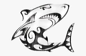 Koi fish tattoo designs shark tattoo outline design. Great White Shark Clipart Outline Tattoo Tribal Great White Shark Tattoos Hd Png Download Kindpng