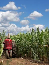 Never Forget Where You Came From Farm Life Country Life Tractors
