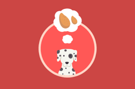 My dog ate a cockroach what you should do & need to know august 19, 2021 by pet educate. Puppy Dog Care Advice Welfare Dogbuddy Blog