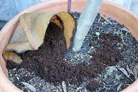 Pferdemist eignet sich hervorragend als organischer dünger für den garten. Kaffeesatz Als Gunstigen Bio Dunger Verwenden Beetfreunde De