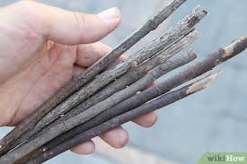 Start rubbing the tip of the spindle up and down the groove. 6 Ways To Make Fire Without Matches Or A Lighter Wikihow