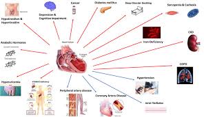 As it applies to weight loss surgery, the disease is morbid obesity and the comorbidities are many. Comorbidities In Chronic Heart Failure An Update From Italian Society Of Cardiology Sic Working Group On Heart Failure European Journal Of Internal Medicine