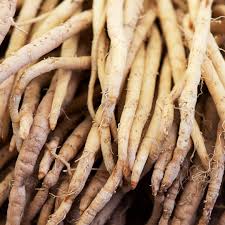 Image result for Asparagus racemosus