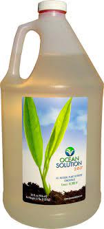 They have two developed embryonic leaves. Oceansolution 2 0 3 Plant Food Liquid Organic Fertilizer For Gardens Landscapes Hydroponics Organic Ocean Mineral Fertilizer Concentrate 1 Gallon Jug Amazon In Garden Outdoors