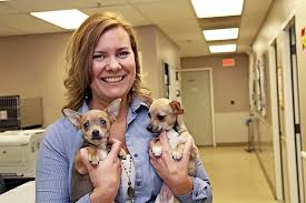 Why buy a puppy for sale if you can adopt and save a life? A D O P T Pet Shelter A Local Nonprofit S Effort To Rebuild Needs Community Support Naperville Magazine