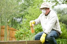 Our experienced staff is available to help with any of your pest or rodent removal needs in your please try again later. John Evans Lawn Landscaping Ameri Tech Community Management