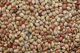 Image result for Macrotyloma stipulosum