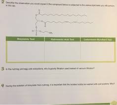 Solved Describe The Observation You Would Expect If The C Chegg Com
