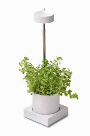 Check spelling or type a new query. Gl301w Leafy Desktop Hydroponics Grow Light System Patio Lawn Garden Greenhouses Plant Germination Equipment Urbytus Com