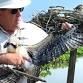 In Search of Active Osprey Nests