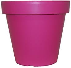 Here is our list of perennials that love life in the shade. Koop Bright Colored Plant Pots Large Medium Small Planters Pink Lime Green Teal 60cm Pink Buy Online In Colombia At Desertcart Co Productid 55676678