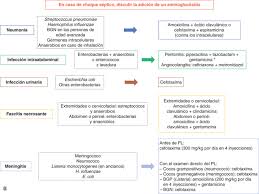 ( 2 ou mais critérios ) sepse grave sepse com evidências de inadequada perfusão de órgãos choque séptico sepse com hipotensão (pas). Sepsis Shock Septico En El Adulto Sciencedirect