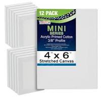 Amazon.com: U.S. Art Supply Mini lienzos de pintura de 4 x 6 ...