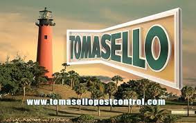 The best way to keep pests away is to hire the professionals for pest control in west palm beach. Tomasello Pest Control 5311 Georgia Ave West Palm Beach Fl Pest Control Mapquest
