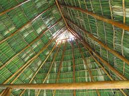 Palmacompletewindow Jpg 1000 750 Palm Fronds Thatched Roof Tiki Hut
