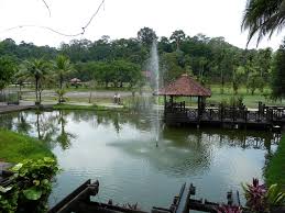 The national botanical garden shah alam or taman botani negara shah alam (tbnsa) which was previously known as tpm and which was initially known as bukit cherakah agriculture park was developed on 24th april 1986 before it was promulgated as the bukit cahaya seri alam agriculture. Taman Pertanian Bukit Cahaya Mapio Net