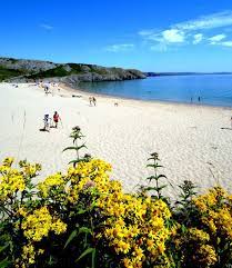 Barafundle Bay In Pembrokeshire Well Worth The Cliff Walk To Get To It Beaches In The World Pembrokeshire Coast Places To Go