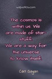 We Are A Way For The Universe To Know Itself Connectedness Quote By Carl Sagan 2020