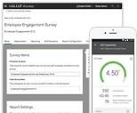 Gallup's Q12 Employee Engagement Survey - Gallup