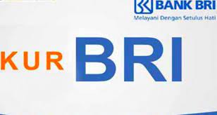 Kemudian, rp8,54 triliun diberikan bagi 972 ribu debitur kur super mikro. Begini Cara Ajukan Pinjaman Via Online Kur Bri Umkm Login Ke Kur Bri Co Id Bisa Pinjam Rp 500 Juta Kalbar Satu Id Terkini