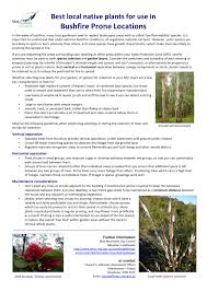 Guide Best Local Native Plants For Use In Bushfire Prone Locations Bmcc Nsw Gov Au