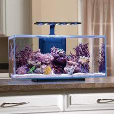 Use them in commercial designs under lifetime, perpetual & worldwide rights. Jbj Rimless Desktop Aquarium Aquarium Supplies At Liveaquaria