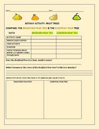 Botany Activity Compare Two Fruit Trees Pears