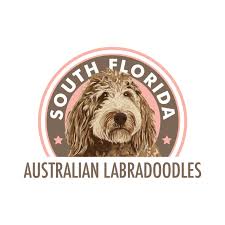 We did not find results for: Questions And Information South Florida Labradoodles Llc